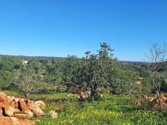Terreno venda em Olhão, Faro
