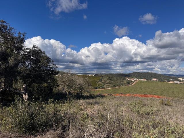 Terreno venda em São Bartolomeu De Messines, Faro