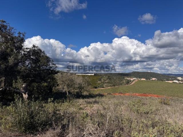 Terreno venda em São Bartolomeu De Messines, Faro