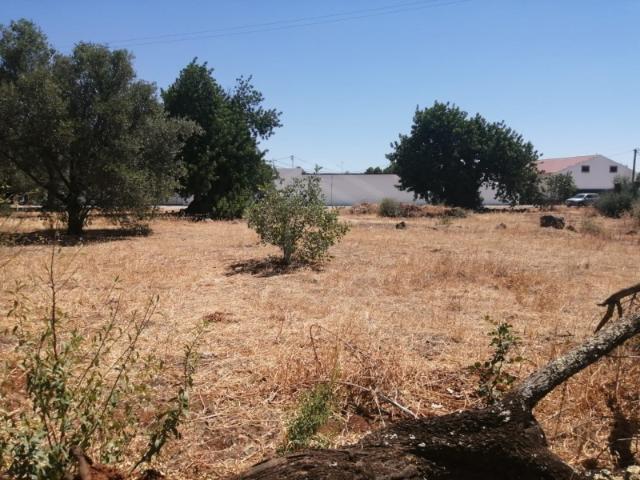 Terreno venda em São Brás De Alportel, Faro