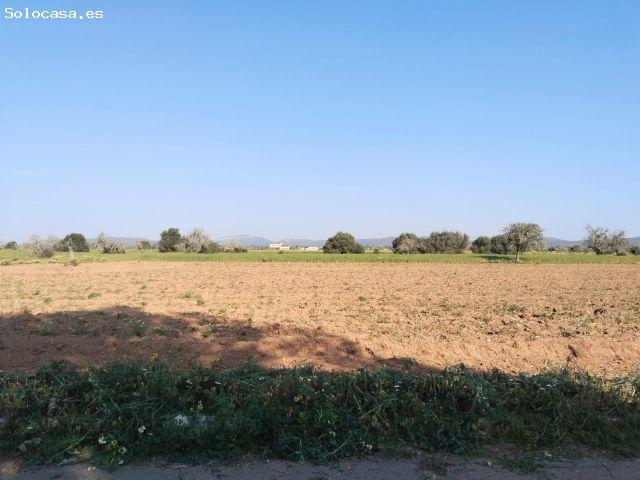 Local Comercial en venta en Migjorn, Baleares