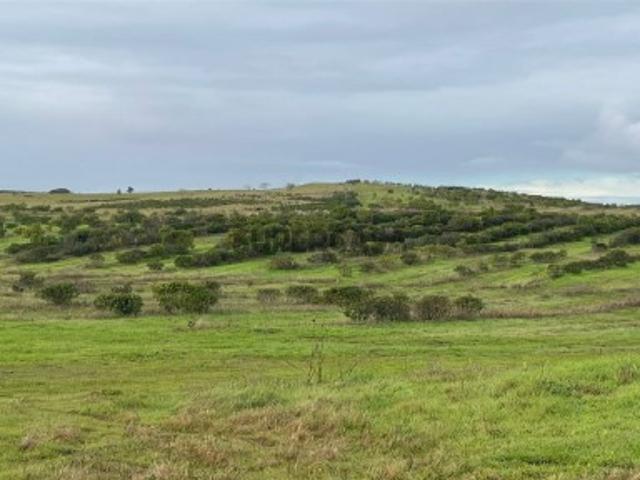 Terreno venda em Beja