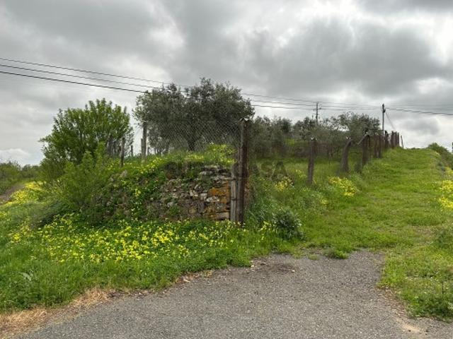 Terreno venda em Beja