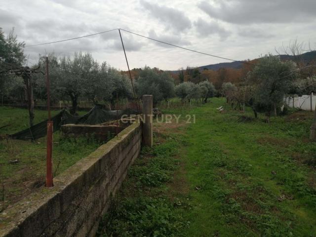 Terreno venda em Castelo Branco, Aldeia Nova Do Cabo