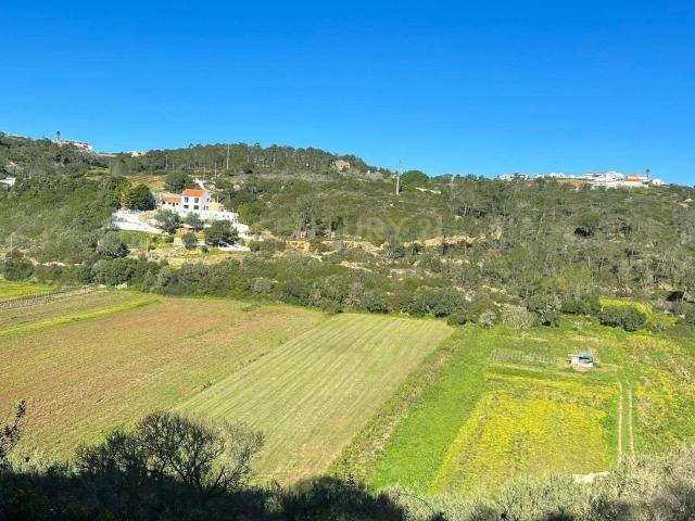 Terreno venda em Castelo Branco