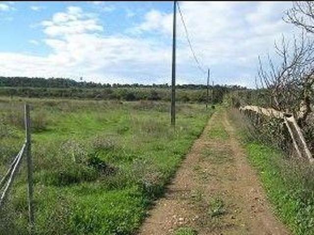 Terreno venda em Troto, Loulé