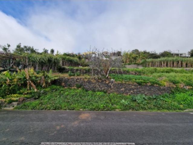 Terreno venda em Ribeira Brava, Ilha Da Madeira