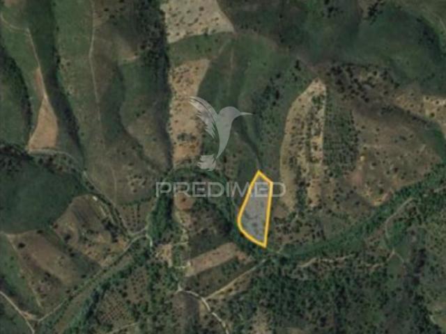 Terreno venda em São Brás De Alportel, Faro