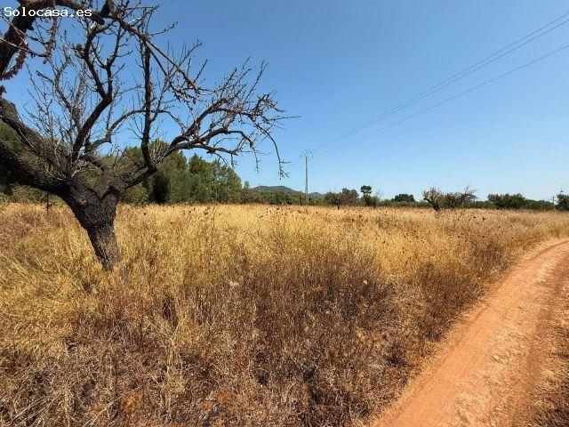 Local Comercial en venta en Raiguer, Baleares