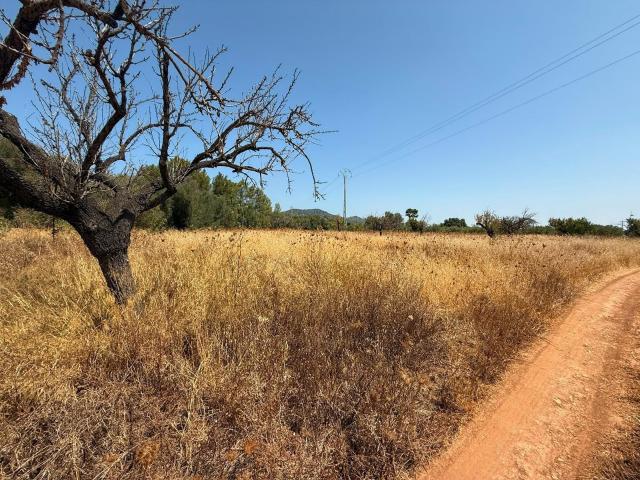 Terreno en venta en Raiguer, Baleares