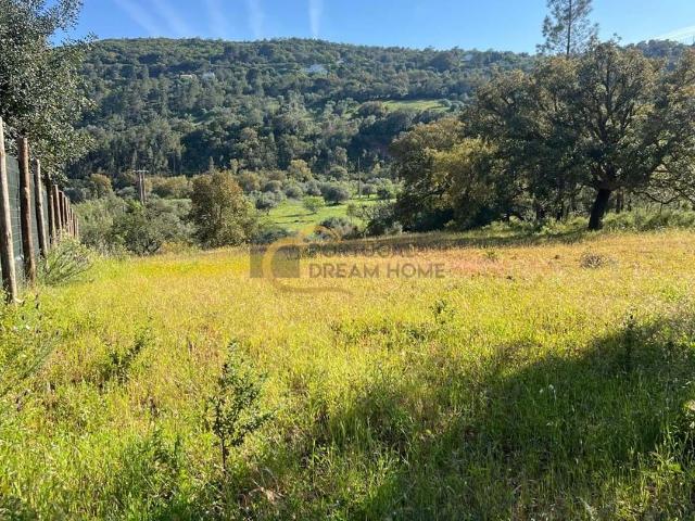 Quinta venda em Albufeira e Olhos de Água, Albufeira