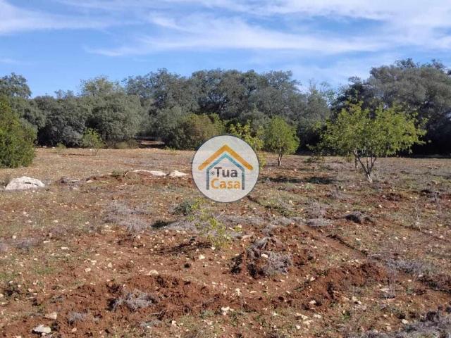 Terreno venda em São Brás De Alportel, Faro