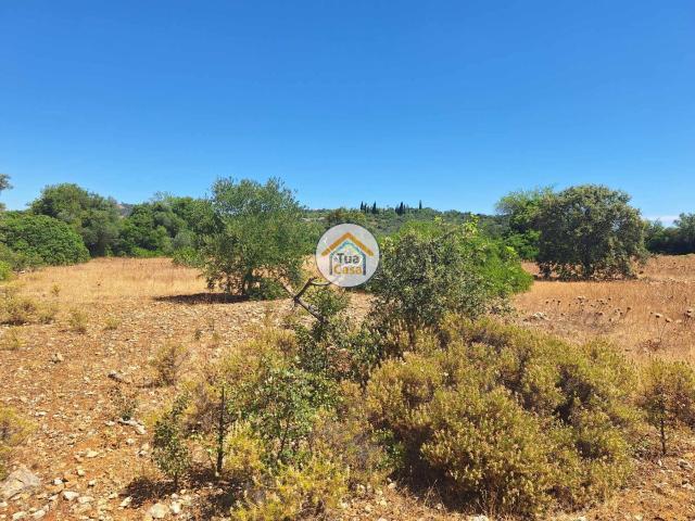 Terreno venda em São Brás De Alportel, Faro