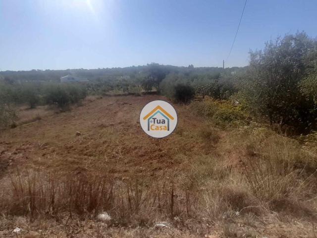 Terreno venda em São Brás De Alportel, Faro