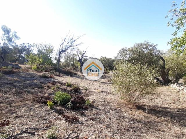 Terreno venda em São Brás De Alportel, Faro