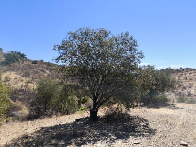 Terreno venda em Castro Marim, Faro