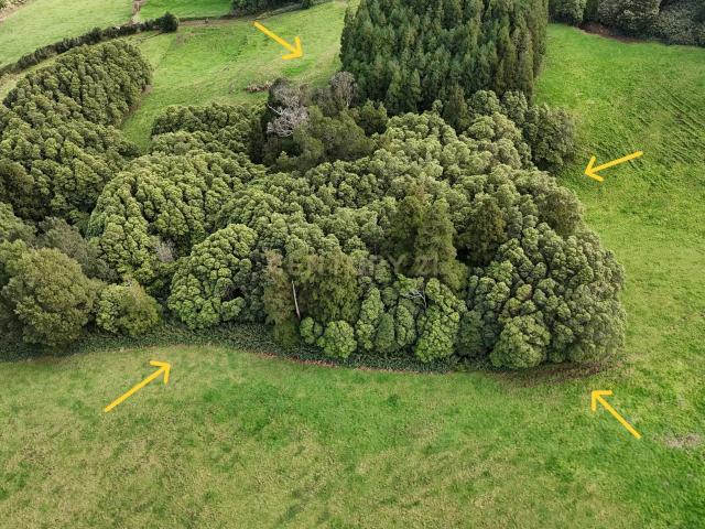 Terreno venda em Açores, Lomba Da Fazenda