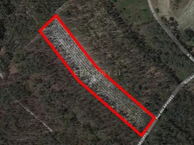 Terreno venda em Casal da Areia, Figueira Da Foz