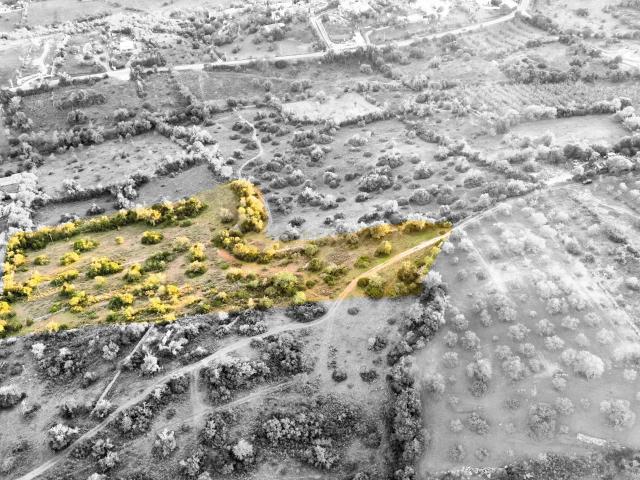 Terreno venda em Matos, Paderne