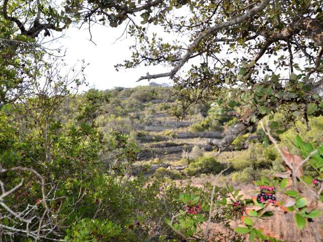 Terreno venda em Varejota, Loulé