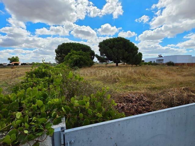 Terreno alugar em Lagoa da Palha, Palmela