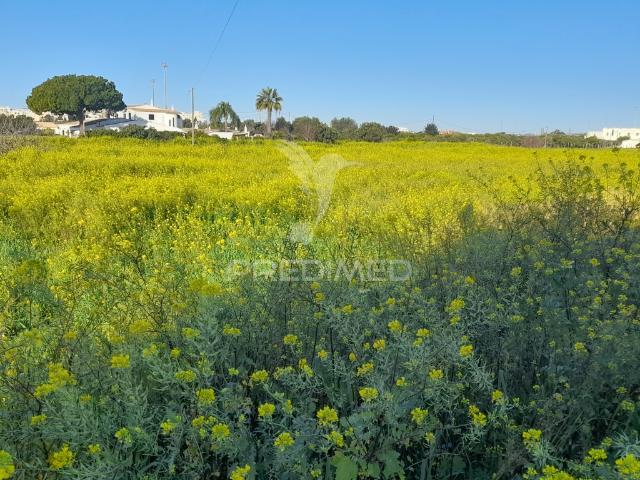 Terreno alugar em Faro