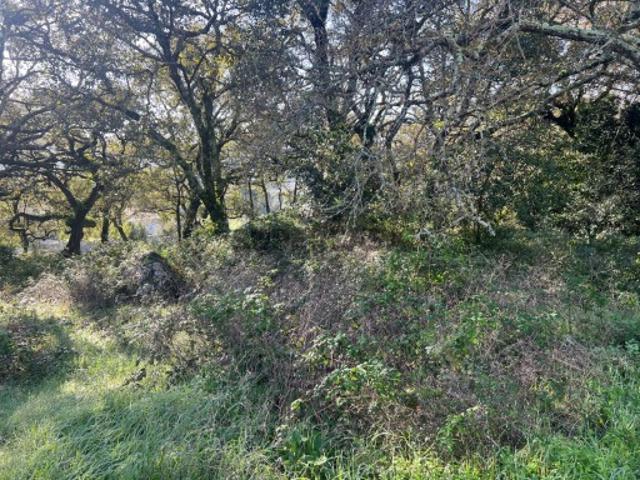 Terreno venda em Porto De Mós, Leiria