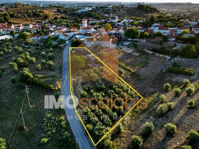 Terreno venda em Santarém
