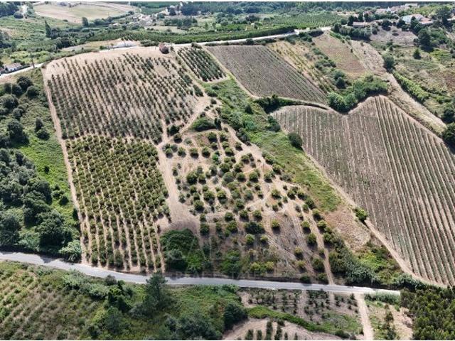 Terreno venda em Carvalhal Benfeito, Caldas Da Rainha