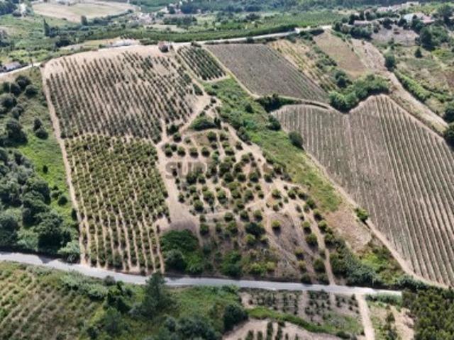 Terreno venda em Carvalhal Benfeito, Caldas Da Rainha