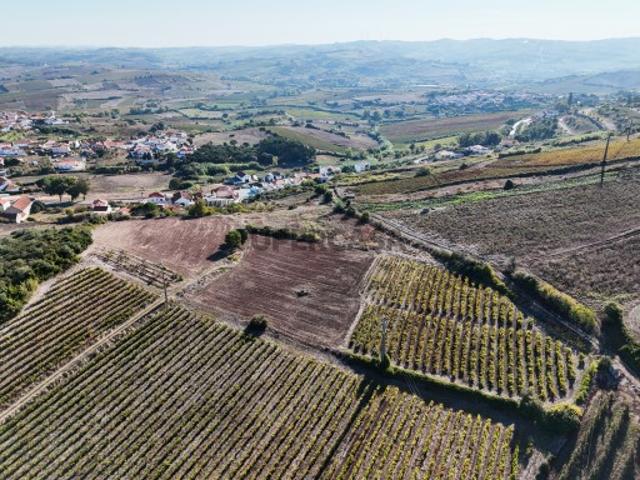 Terreno venda em Dois Portos, Torres Vedras