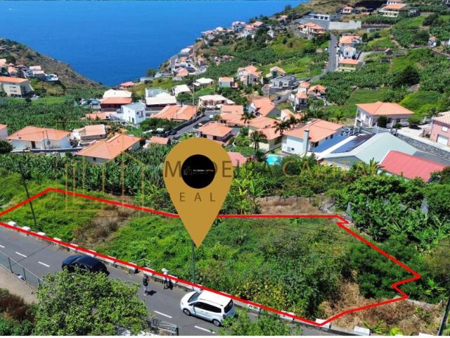 Terreno venda em Pico da Cruz, Ribeira Brava