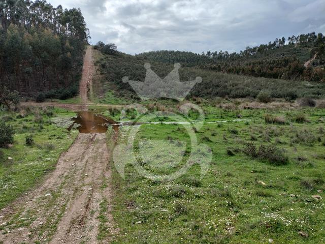 Terreno venda em Hortinhas, Terena (São Pedro)