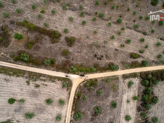 Terreno venda em Pego, Abrantes