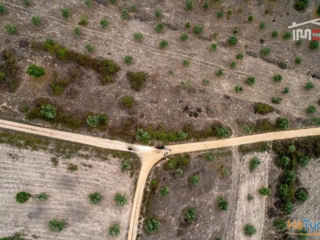 Terreno venda em Abrantes, Santarém