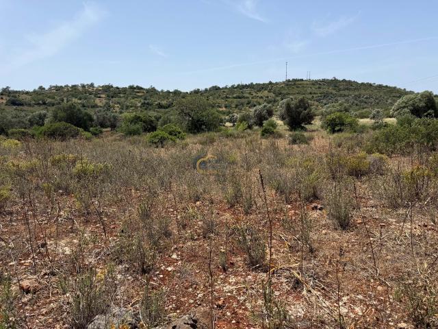 Terreno venda em Albufeira, Faro
