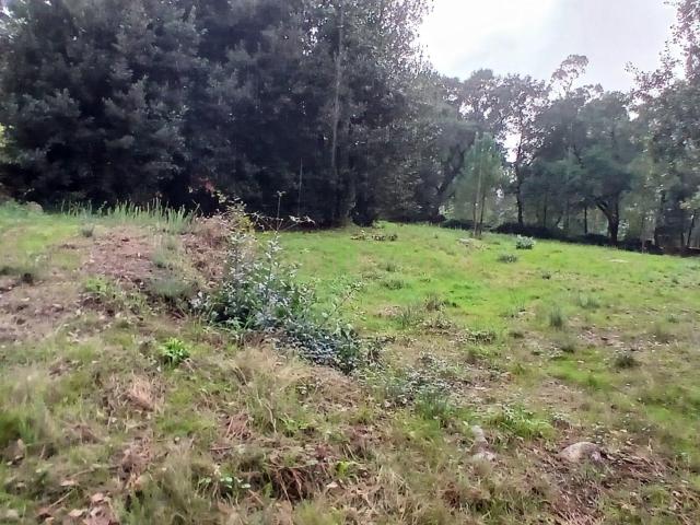 Terreno venda em Carvalhal, Arcozelo