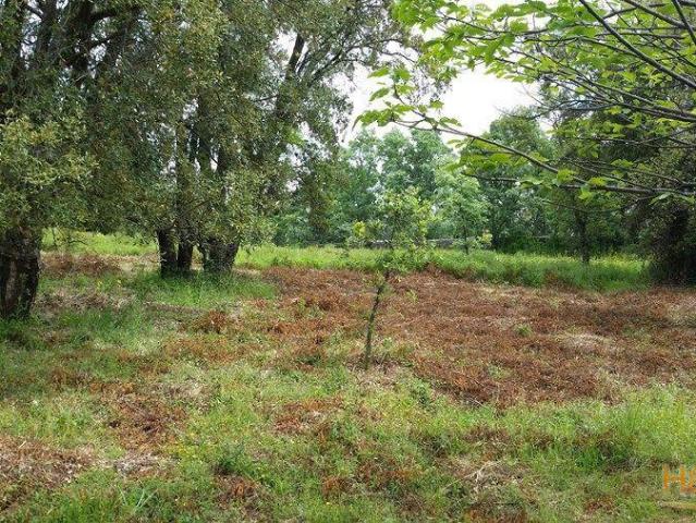 Terreno venda em Castelo De Vide, Portalegre
