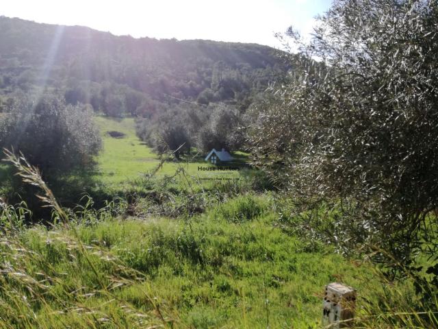 Terreno venda em Loulé (São Clemente), Loulé
