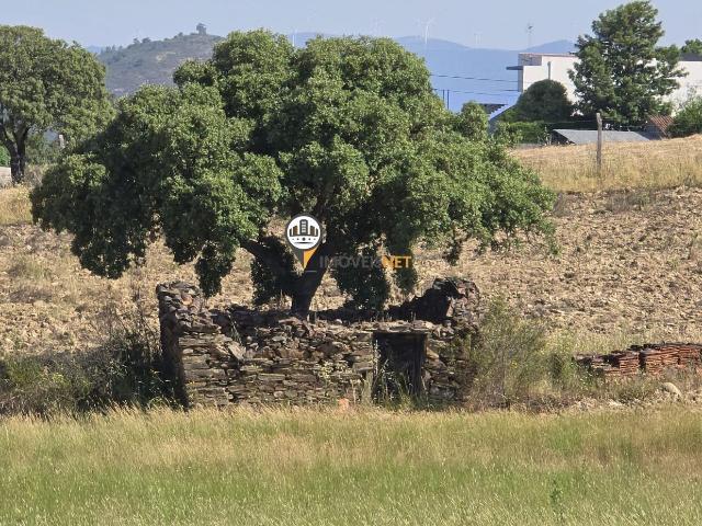 Terreno venda em Castelo Branco
