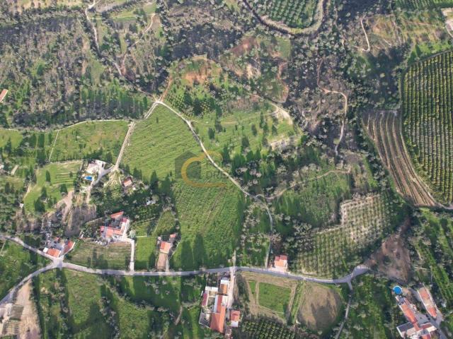 Quinta venda em Albufeira e Olhos de Água, Albufeira