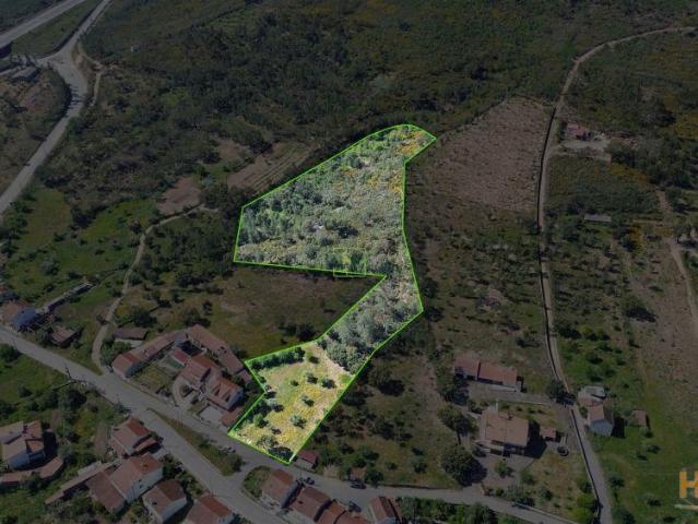 Terreno venda em Castelo Branco, Vila Velha De Ródão