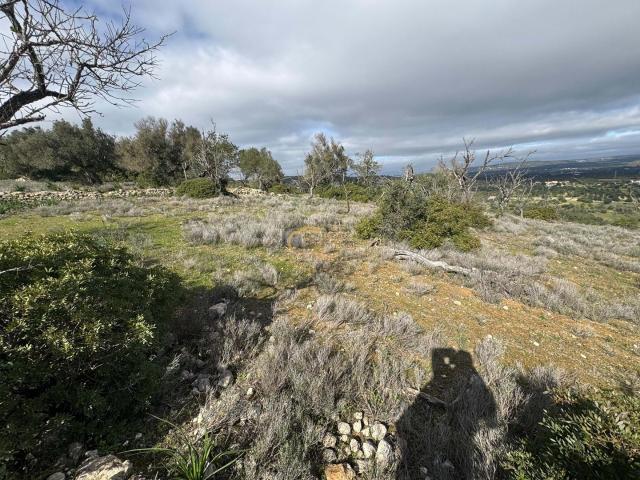 Quinta venda em São Vicente, Ilha Da Madeira