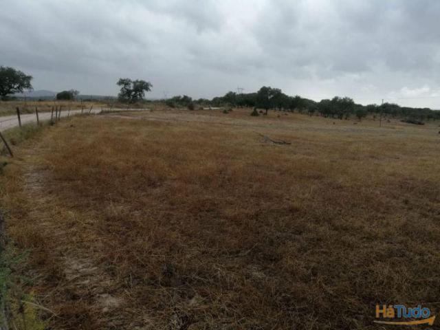 Terreno venda em Crato, Portalegre