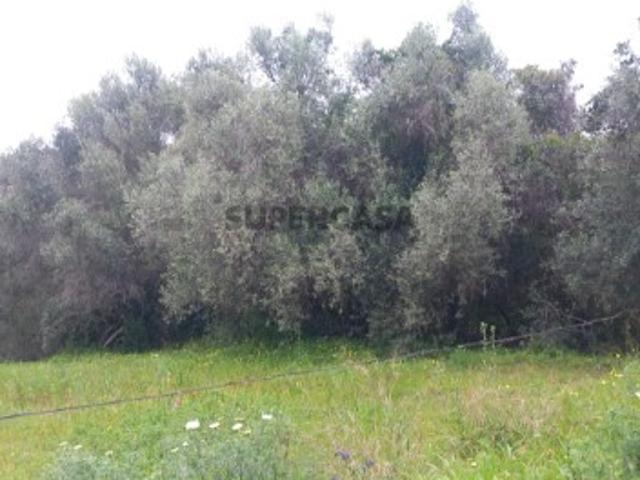 Terreno venda em Albufeira, Faro