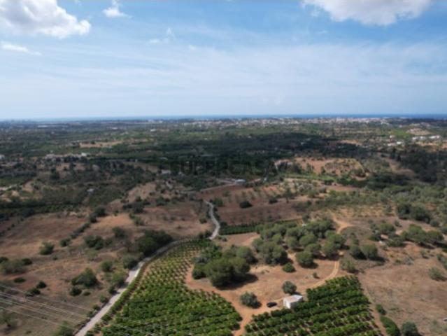 Terreno venda em Loulé, Faro