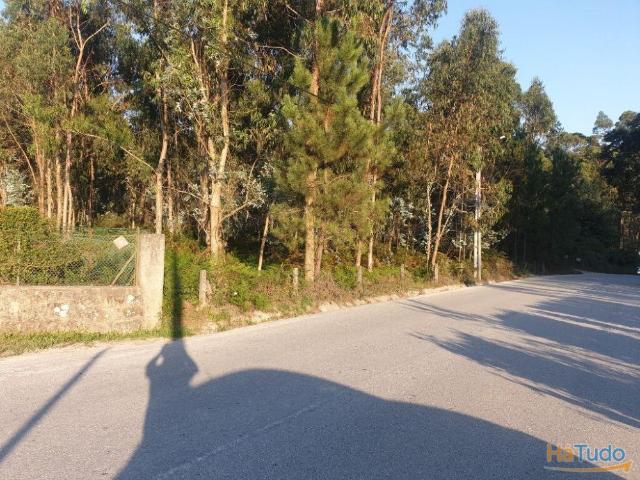 Terreno venda em Vila Verde, Braga