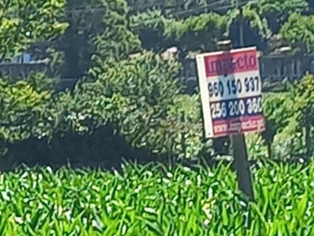 Terreno venda em Arouca, Escariz