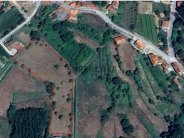 Terreno venda em Falgoselhe, Águeda