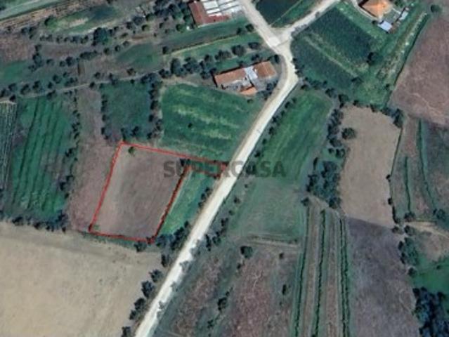 Terreno venda em Falgoselhe, Águeda